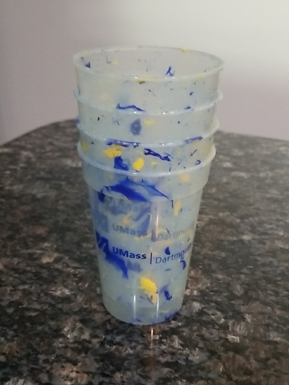 UMASS | Dartmouth Plastic Tumblers X 4